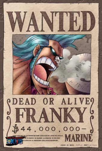 One Piece "WANTED" Poster Puzzles!