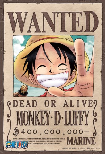 One Piece "WANTED" Poster Puzzles!