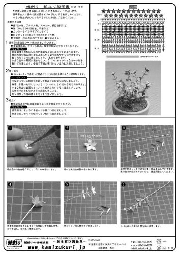1/12 table Garden bellflower (Campanulaceae) (G-36) (japan import)4